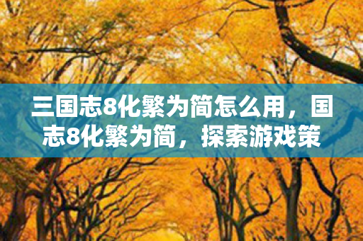 三国志8化繁为简怎么用，国志8化繁为简，探索游戏策略与智慧的深度解析