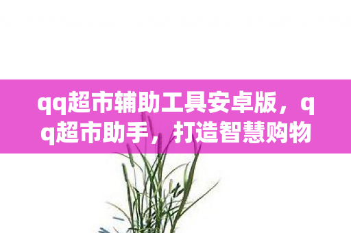 qq超市辅助工具安卓版，qq超市助手，打造智慧购物新体验