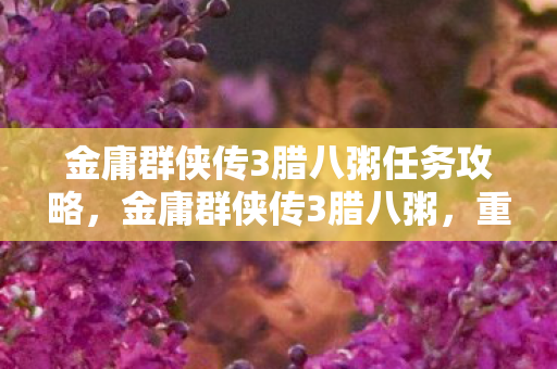 金庸群侠传3腊八粥任务攻略，金庸群侠传3腊八粥，重温经典，品味江湖
