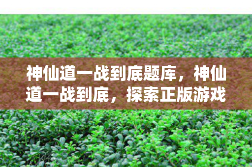 神仙道一战到底题库,神仙道一战到底,探索正版游戏的魅力与深度 神仙道一战到底题库,神仙道一战到底,探索正版游戏的魅力与深度