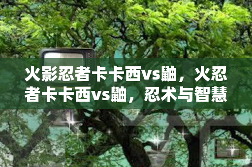 火影忍者卡卡西vs鼬，火忍者卡卡西vs鼬，忍术与智慧的巅峰对决