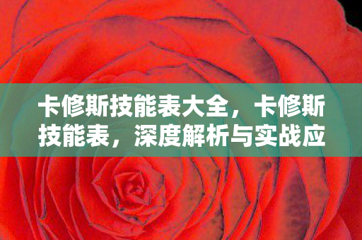 卡修斯技能表大全,卡修斯技能表,深度解析与实战应用 卡修斯技能表大全,卡修斯技能表,深度解析与实战应用