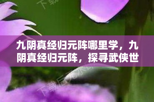 九阴真经归元阵哪里学,九阴真经归元阵,探寻武侠世界的神秘阵法 九阴真经归元阵哪里学,九阴真经归元阵,探寻武侠世界的神秘阵法
