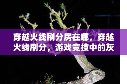 穿越火线刷分房在哪,穿越火线刷分,游戏竞技中的灰色地带 穿越火线刷分房在哪,穿越火线刷分,游戏竞技中的灰色地带