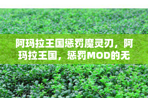 阿玛拉王国惩罚魔灵刃，阿玛拉王国，惩罚MOD的无限可能