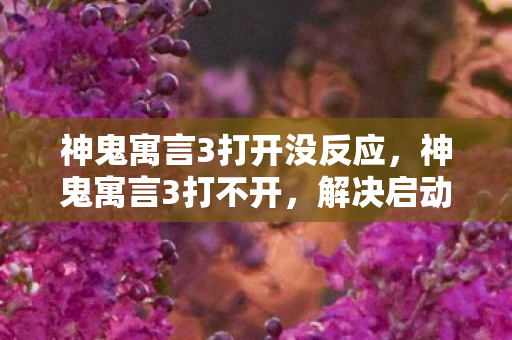 神鬼寓言3打开没反应，神鬼寓言3打不开，解决启动问题的实用指南