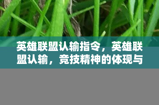 英雄联盟认输指令,英雄联盟认输,竞技精神的体现与成长之路 英雄联盟认输指令,英雄联盟认输,竞技精神的体现与成长之路