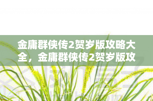 金庸群侠传2贺岁版攻略大全，金庸群侠传2贺岁版攻略