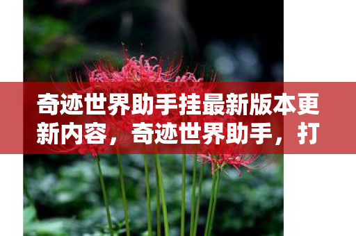 奇迹世界助手挂最新版本更新内容，奇迹世界助手，打造你的专属游戏助手