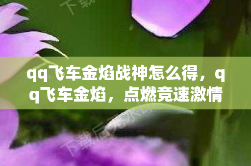 qq飞车金焰战神怎么得，qq飞车金焰，点燃竞速激情的金色火焰