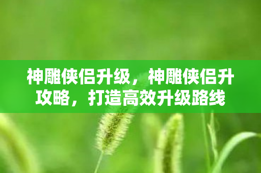 神雕侠侣升级，神雕侠侣升攻略，打造高效升级路线
