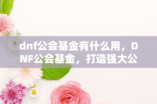 dnf公会基金有什么用,DNF公会基金,打造强大公会,助力玩家成长 dnf公会基金有什么用,DNF公会基金,打造强大公会,助力玩家成长