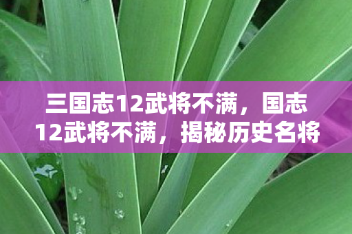 三国志12武将不满,国志12武将不满,揭秘历史名将的忠诚与野心 三国志12武将不满,国志12武将不满,揭秘历史名将的忠诚与野心