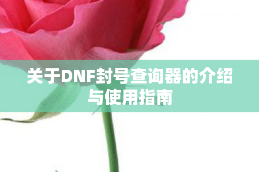 关于DNF封号查询器的介绍与使用指南 关于DNF封号查询器的介绍与使用指南