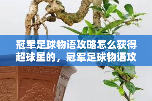 冠军足球物语攻略怎么获得超球星的，冠军足球物语攻略，如何获得超球星