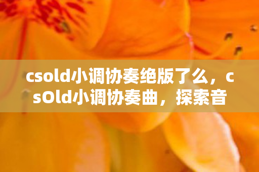 csold小调协奏绝版了么，csOld小调协奏曲，探索音乐与技术的完美融合