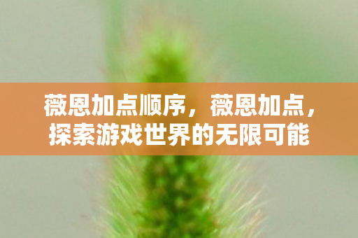 薇恩加点顺序,薇恩加点,探索游戏世界的无限可能 薇恩加点顺序,薇恩加点,探索游戏世界的无限可能