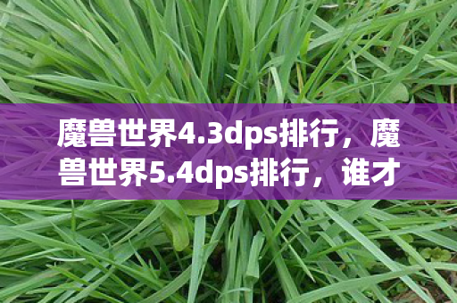 魔兽世界4.3dps排行，魔兽世界5.4dps排行，谁才是输出之王？