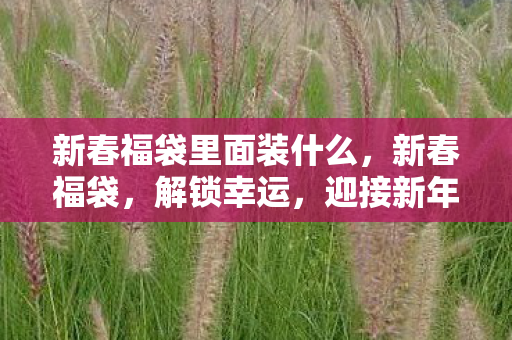 新春福袋里面装什么,新春福袋,解锁幸运,迎接新年 新春福袋里面装什么,新春福袋,解锁幸运,迎接新年