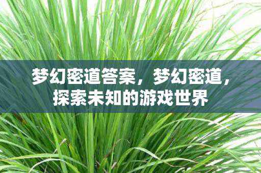 梦幻密道答案，梦幻密道，探索未知的游戏世界