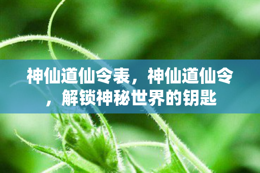 神仙道仙令表，神仙道仙令，解锁神秘世界的钥匙