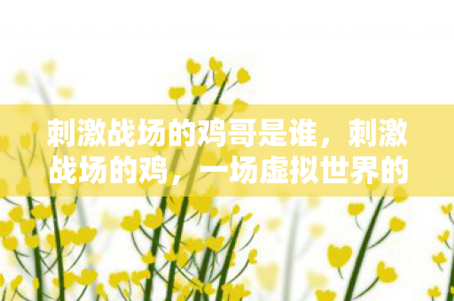 刺激战场的鸡哥是谁，刺激战场的鸡，一场虚拟世界的奇妙冒险