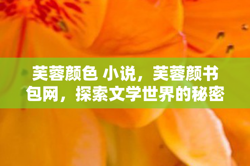 芙蓉颜色 小说，芙蓉颜书包网，探索文学世界的秘密花园