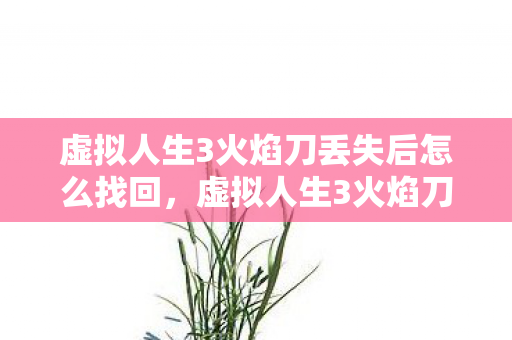 虚拟人生3火焰刀丢失后怎么找回，虚拟人生3火焰刀，探索未知世界的奇幻之旅