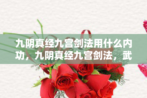九阴真经九宫剑法用什么内功，九阴真经九宫剑法，武侠世界的奥秘与传承