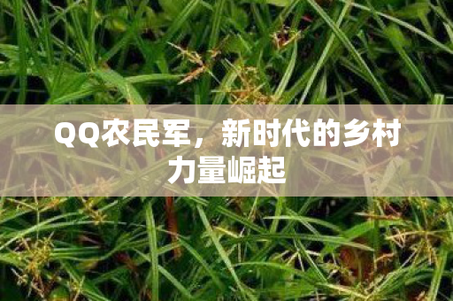 QQ农民军，新时代的乡村力量崛起