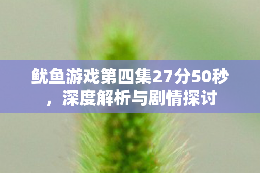 鱿鱼游戏第四集27分50秒，深度解析与剧情探讨