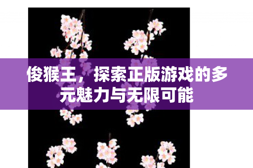 俊猴王，探索正版游戏的多元魅力与无限可能