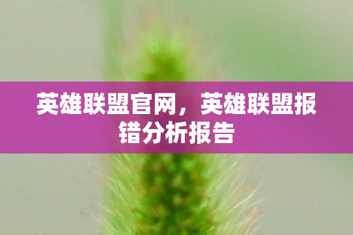 英雄联盟官网，英雄联盟报错分析报告