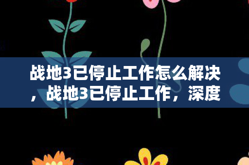 战地3已停止工作怎么解决，战地3已停止工作，深度解析游戏停止运行的背后原因
