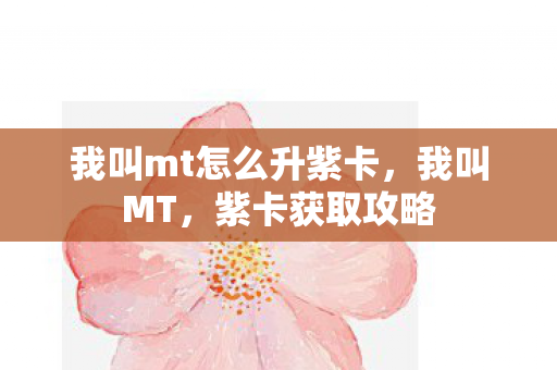 我叫mt怎么升紫卡，我叫MT，紫卡获取攻略
