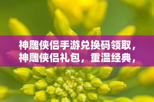 神雕侠侣手游兑换码领取，神雕侠侣礼包，重温经典，畅享江湖之旅