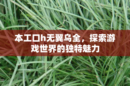 本工口h无翼乌全,探索游戏世界的独特魅力 本工口h无翼乌全,探索游戏世界的独特魅力