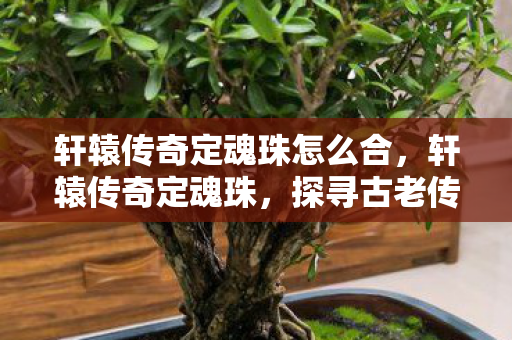 轩辕传奇定魂珠怎么合，轩辕传奇定魂珠，探寻古老传说的神秘力量