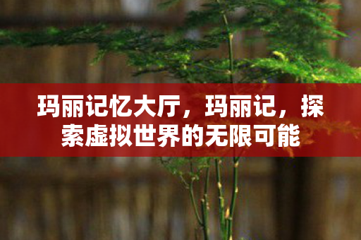 玛丽记忆大厅,玛丽记,探索虚拟世界的无限可能 玛丽记忆大厅,玛丽记,探索虚拟世界的无限可能