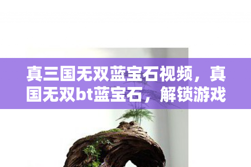 真三国无双蓝宝石视频，真国无双bt蓝宝石，解锁游戏新世界的神秘钥匙