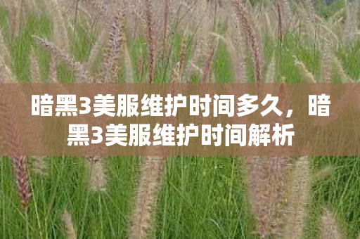 暗黑3美服维护时间多久,暗黑3美服维护时间解析 暗黑3美服维护时间多久,暗黑3美服维护时间解析