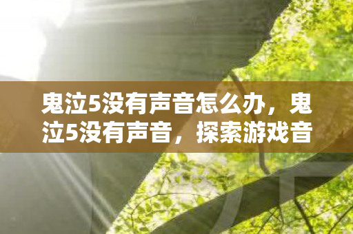 鬼泣5没有声音怎么办，鬼泣5没有声音，探索游戏音频问题的可能原因与解决方案
