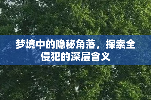 梦境中的隐秘角落,探索全侵犯的深层含义 梦境中的隐秘角落,探索全侵犯的深层含义