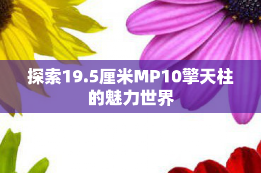 探索19.5厘米MP10擎天柱的魅力世界