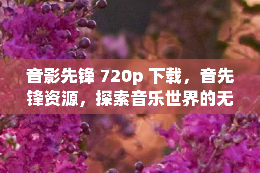 音影先锋 720p 下载,音先锋资源,探索音乐世界的无限可能 音影先锋 720p 下载,音先锋资源,探索音乐世界的无限可能