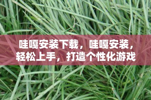 哇嘎安装下载，哇嘎安装，轻松上手，打造个性化游戏环境