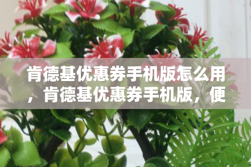 肯德基优惠券手机版怎么用,肯德基优惠券手机版,便捷享受美味,优惠尽在掌握 肯德基优惠券手机版怎么用,肯德基优惠券手机版,便捷享受美味,优惠尽在掌握