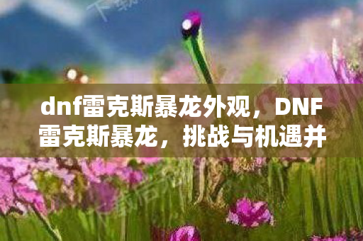 dnf雷克斯暴龙外观,DNF雷克斯暴龙,挑战与机遇并存的冒险之旅 dnf雷克斯暴龙外观,DNF雷克斯暴龙,挑战与机遇并存的冒险之旅