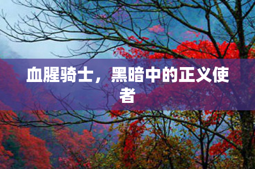 血腥骑士，黑暗中的正义使者