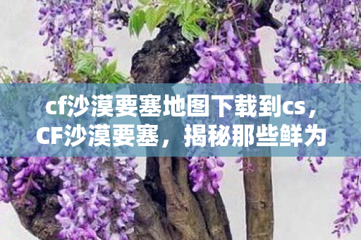 cf沙漠要塞地图下载到cs，CF沙漠要塞，揭秘那些鲜为人知的BUG